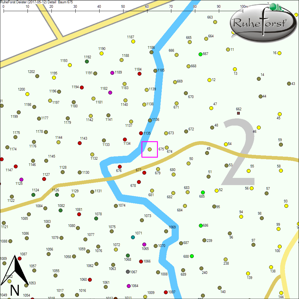 Detailkarte zu Baum 675