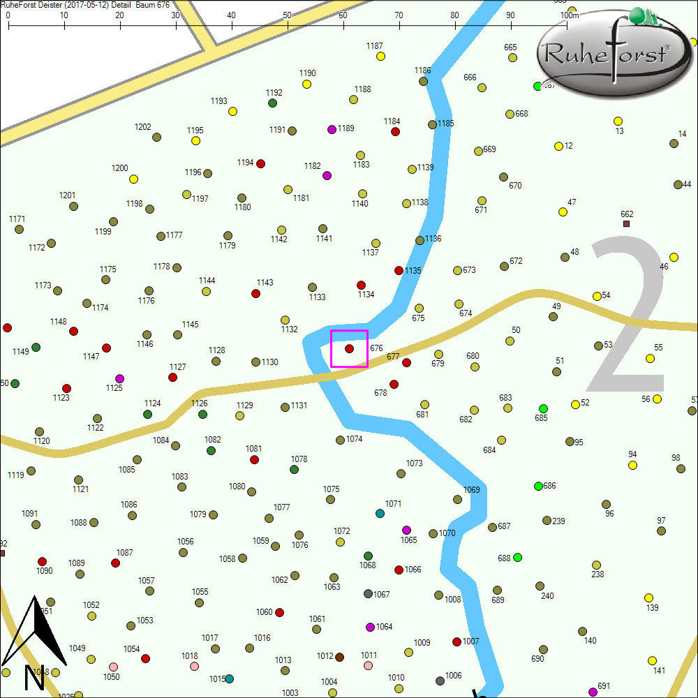 Detailkarte zu Baum 676