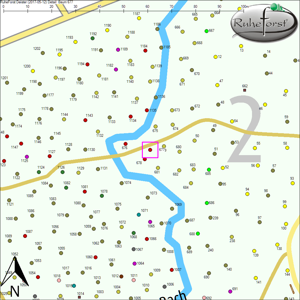 Detailkarte zu Baum 677