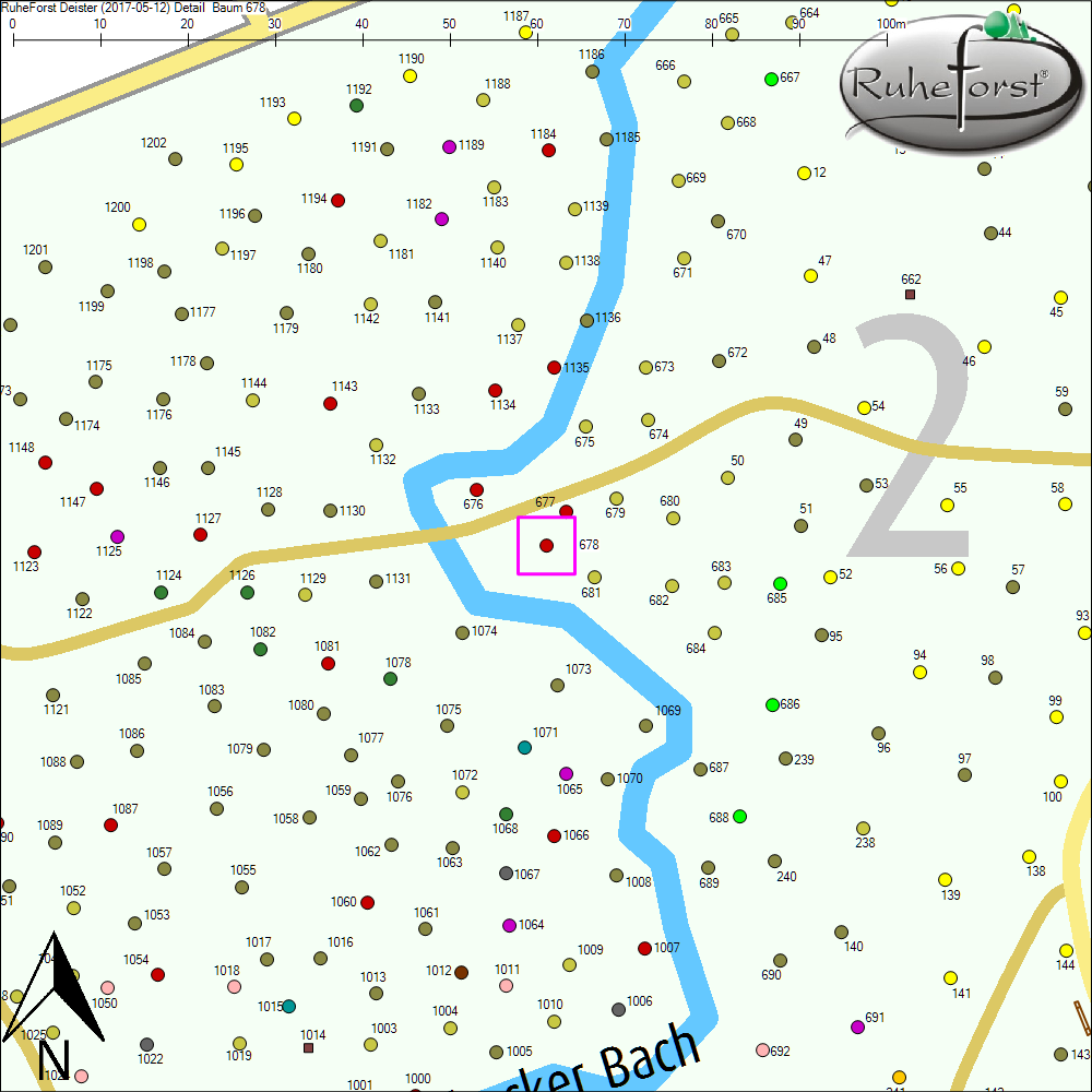 Detailkarte zu Baum 678