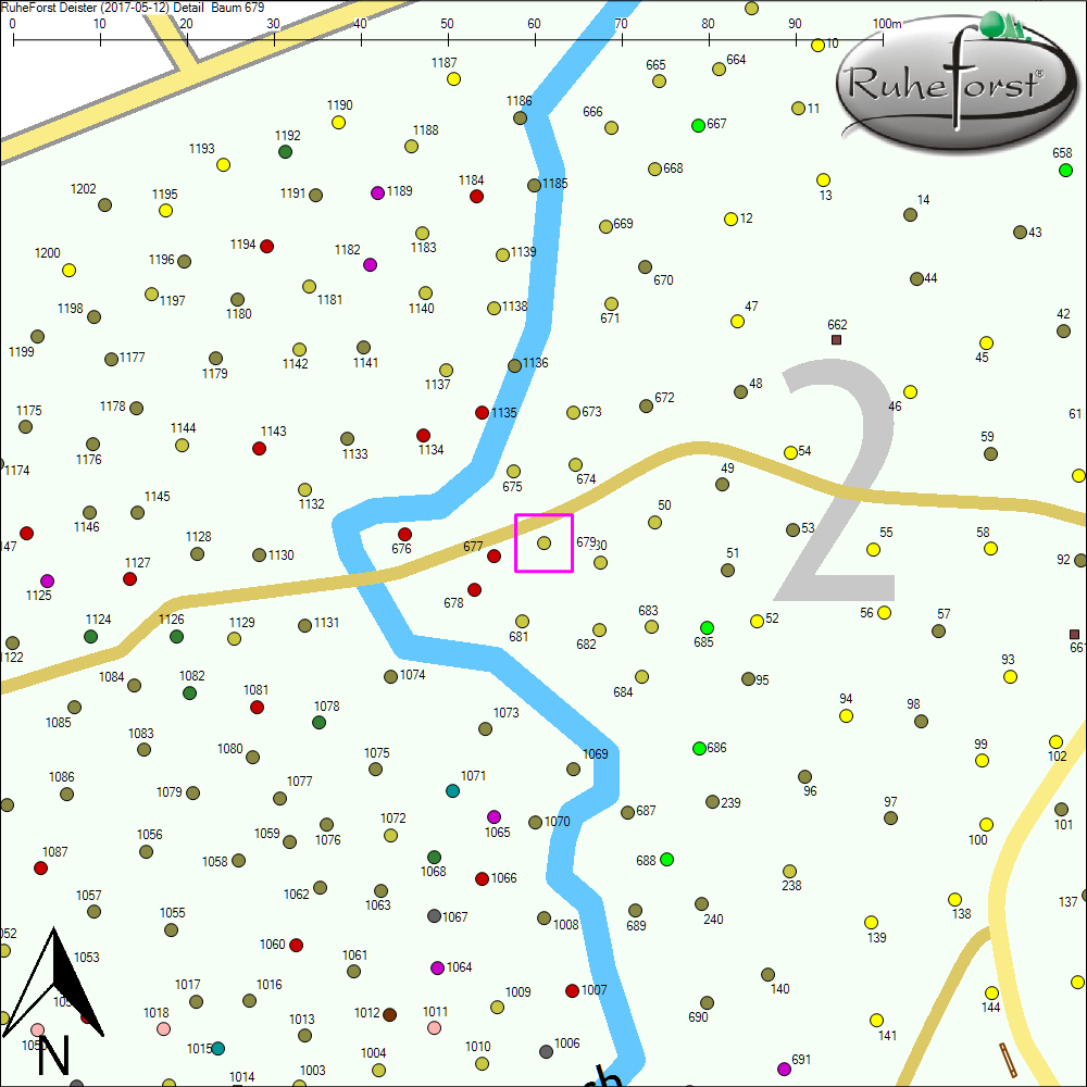 Detailkarte zu Baum 679