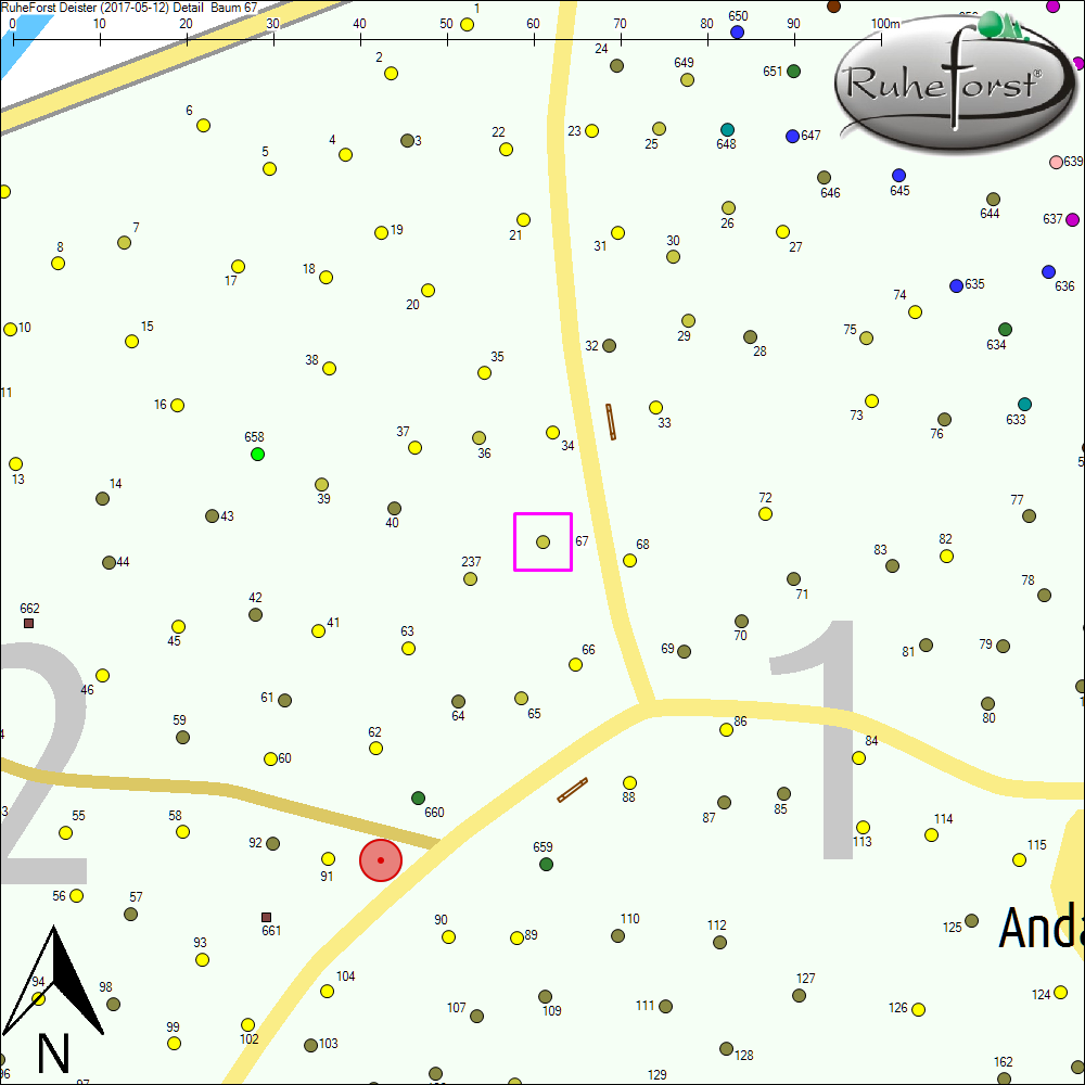 Detailkarte zu Baum 67