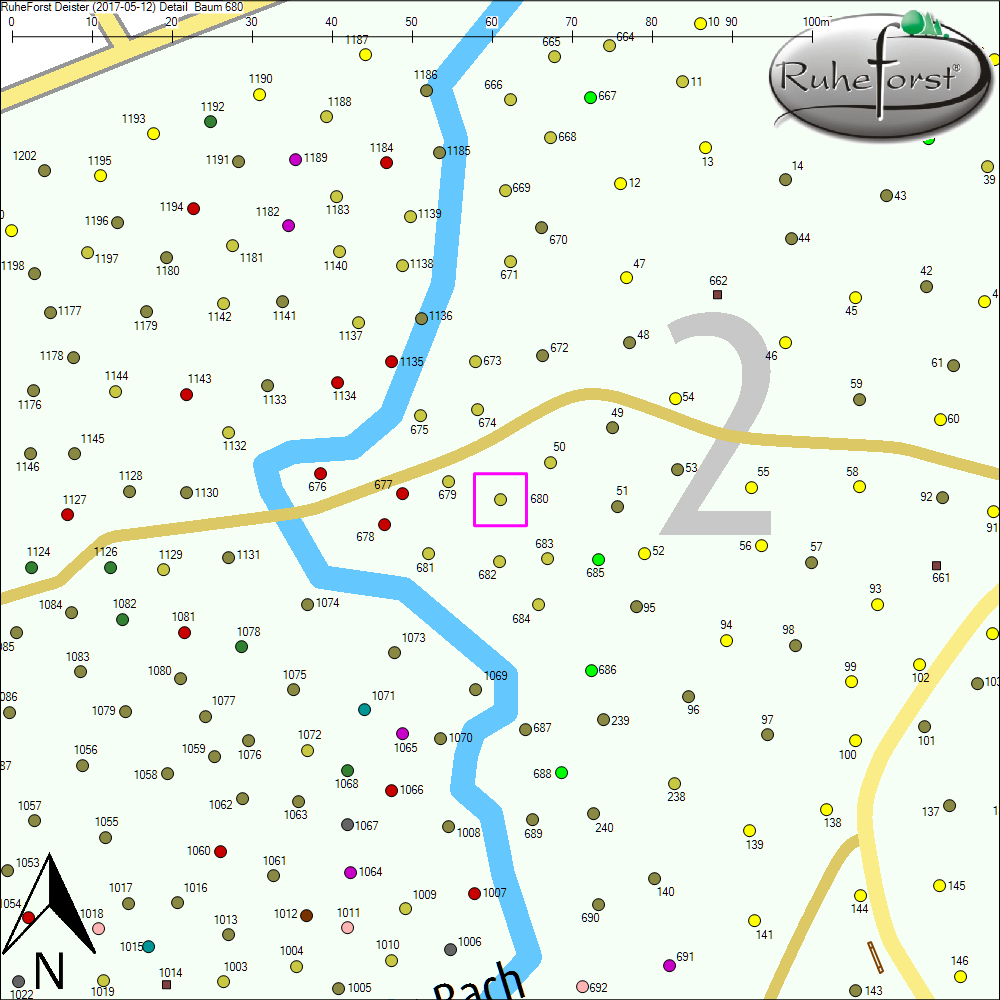 Detailkarte zu Baum 680