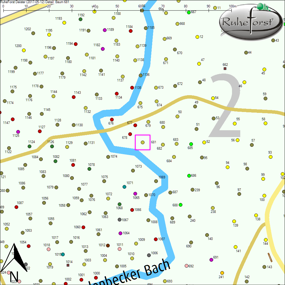 Detailkarte zu Baum 681