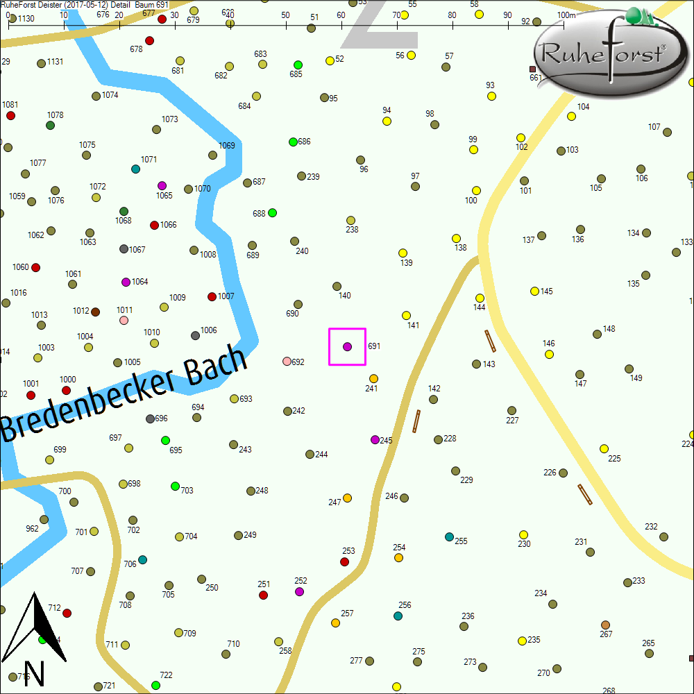 Detailkarte zu Baum 691