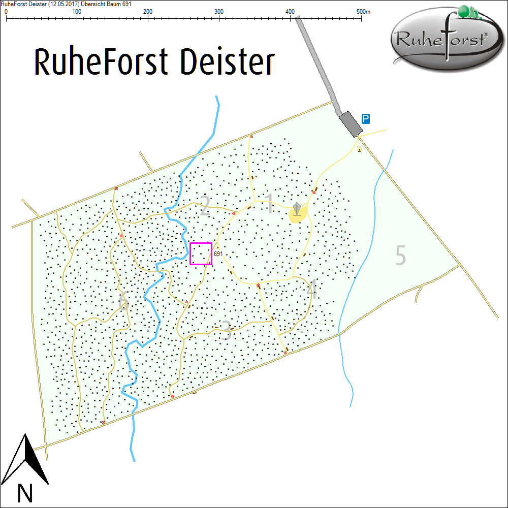&Uuml;bersichtskarte zu Baum 691