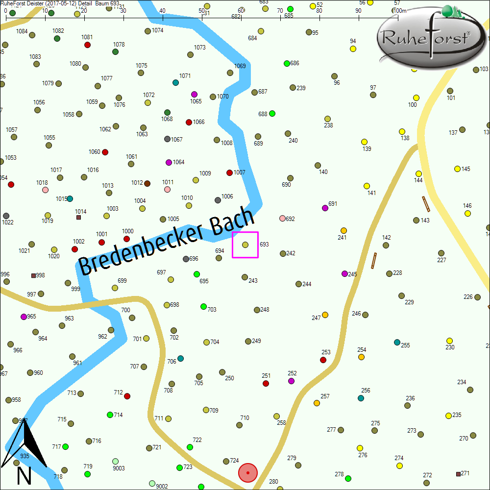 Detailkarte zu Baum 693