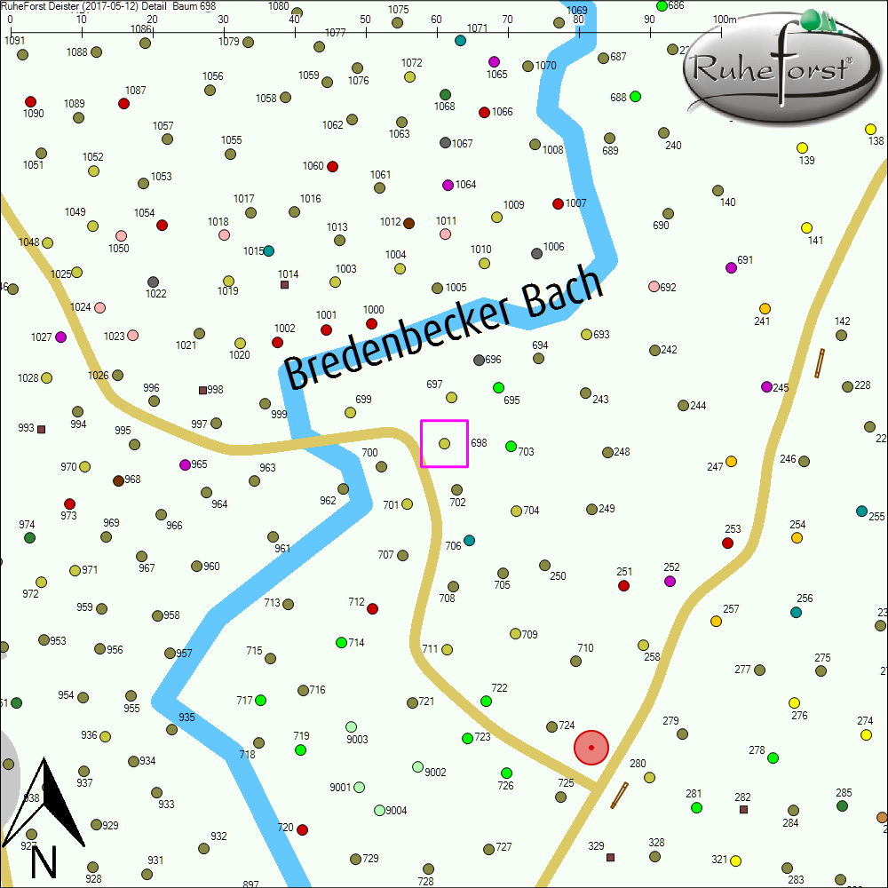 Detailkarte zu Baum 698