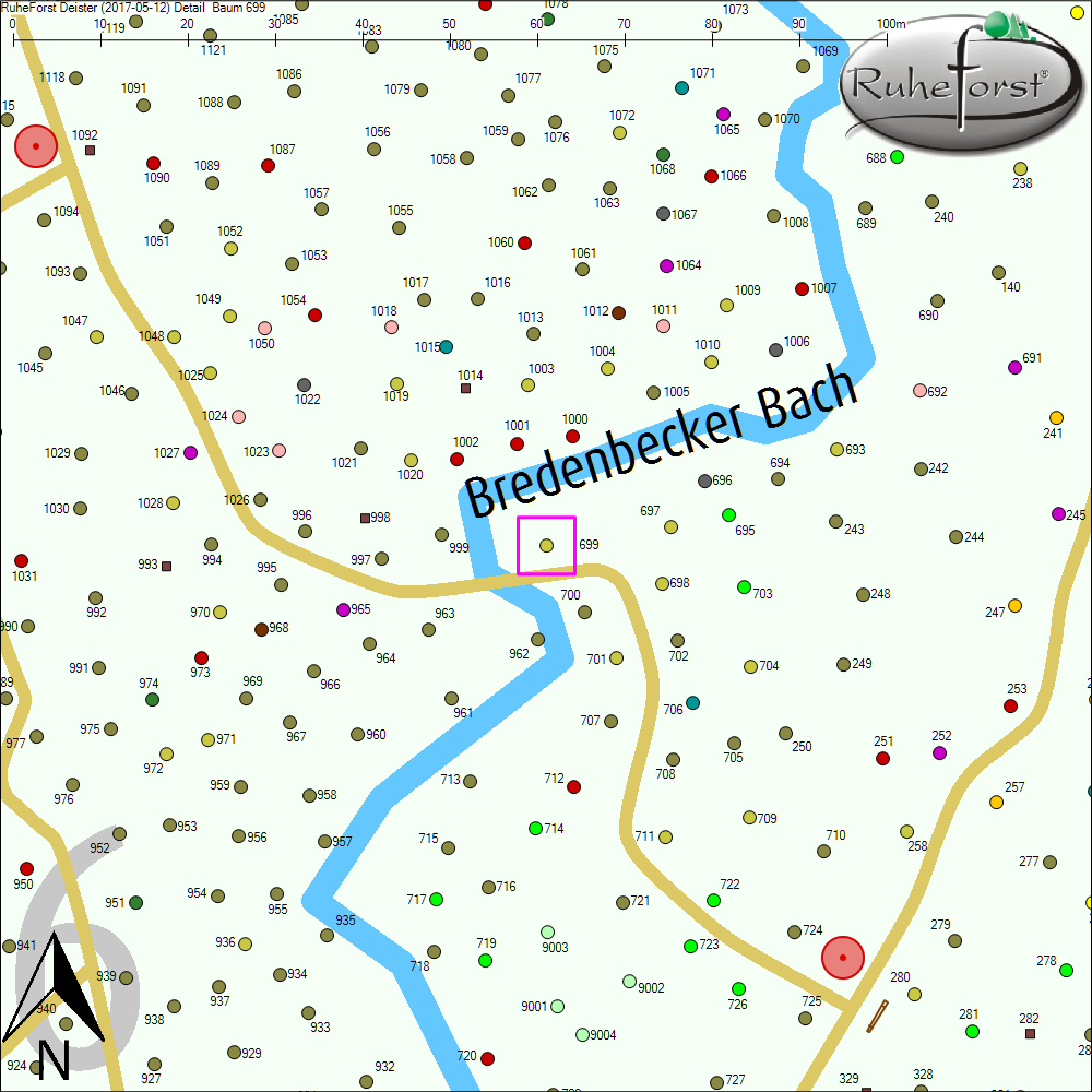 Detailkarte zu Baum 699