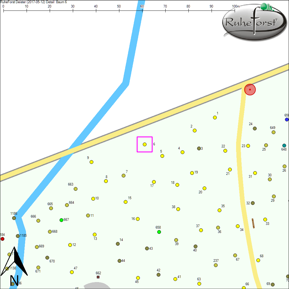 Detailkarte zu Baum 6
