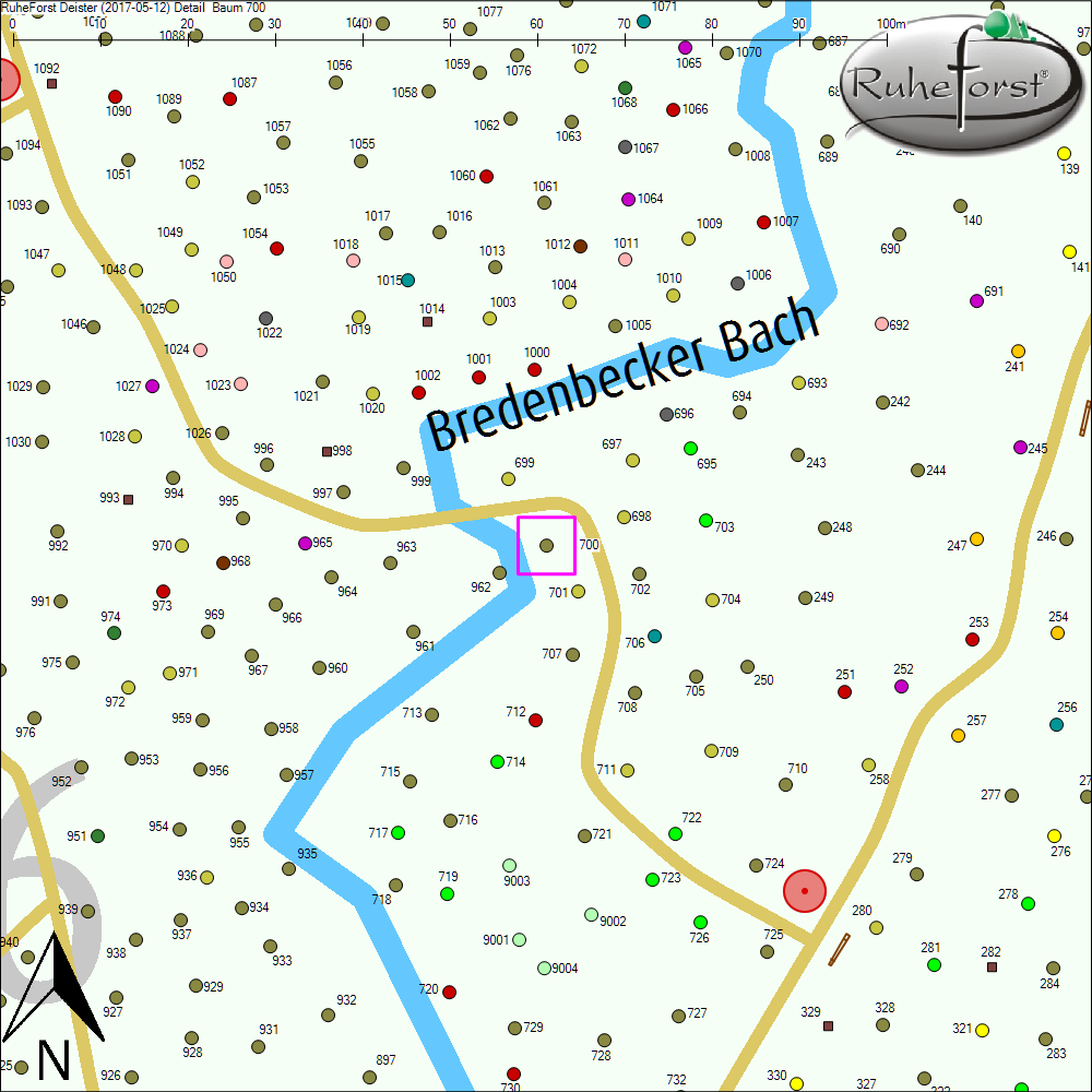 Detailkarte zu Baum 700