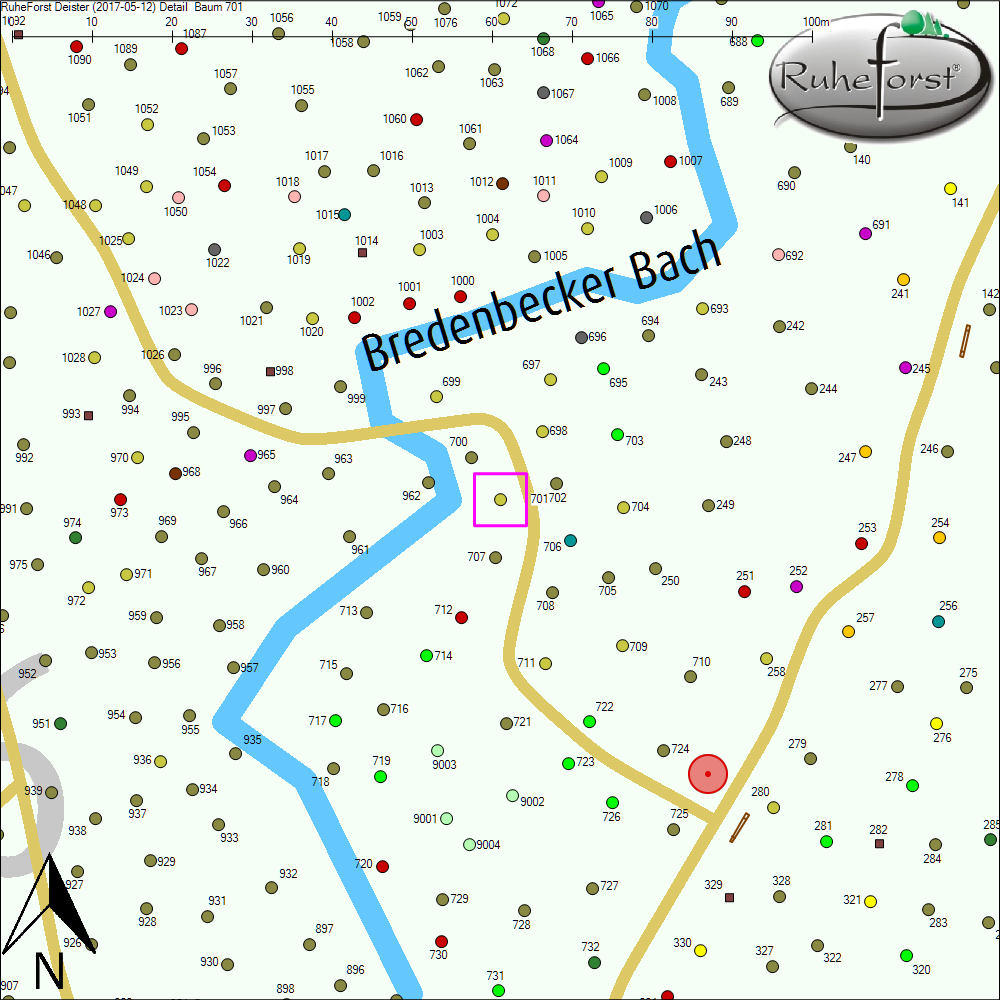 Detailkarte zu Baum 701