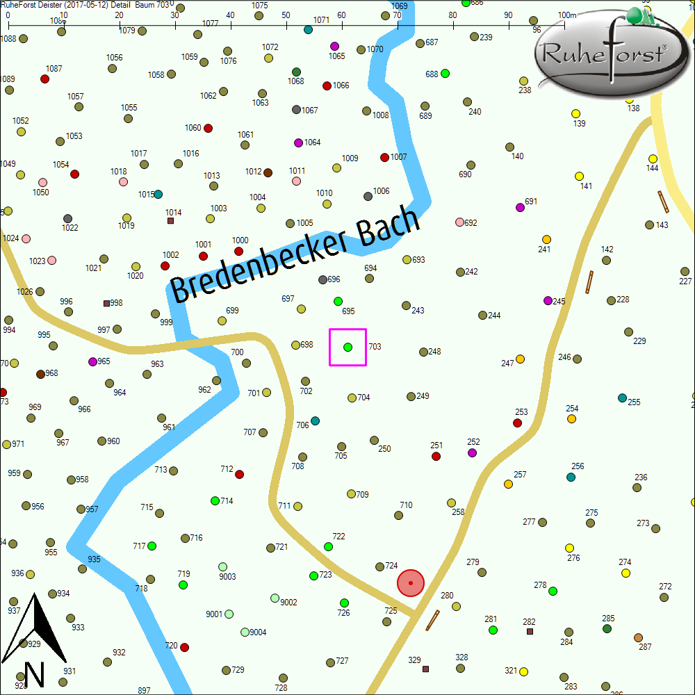 Detailkarte zu Baum 703