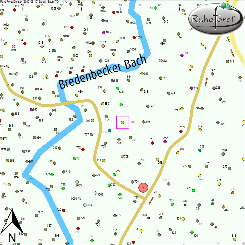 Detailkarte zu Baum 704