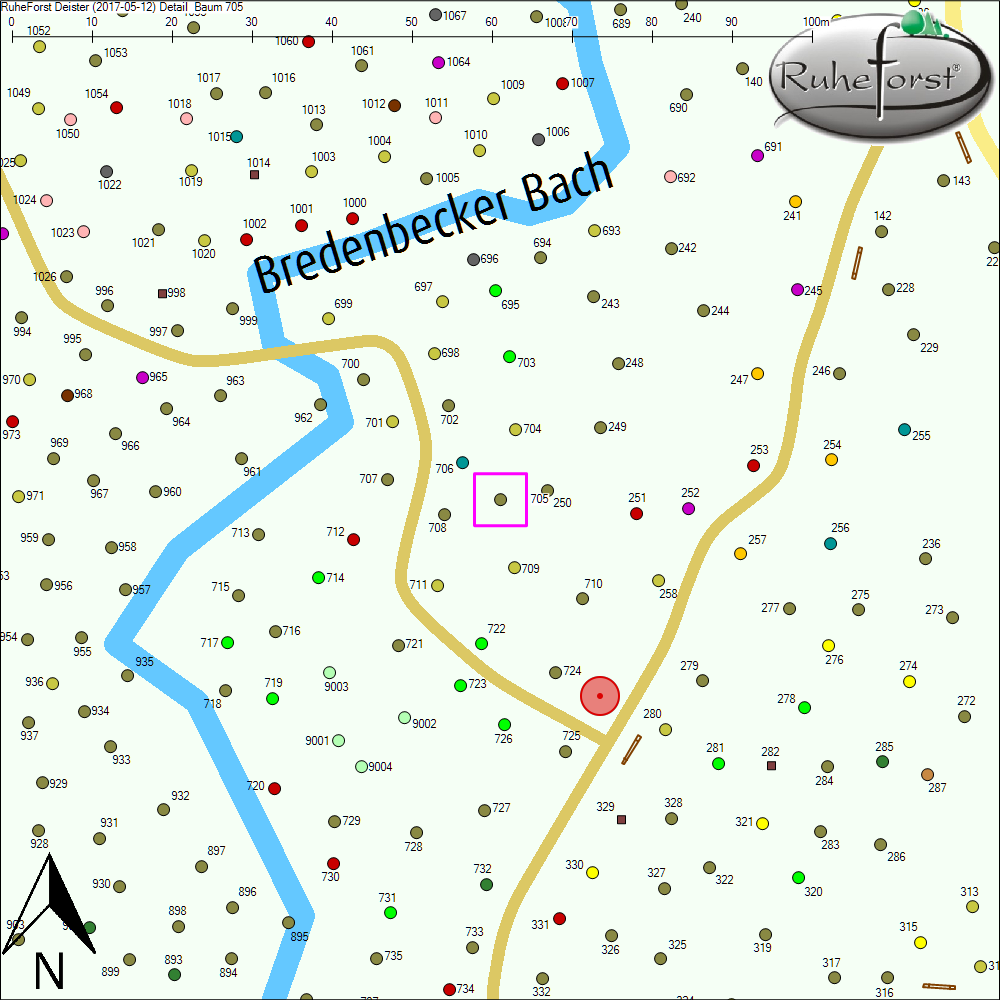 Detailkarte zu Baum 705