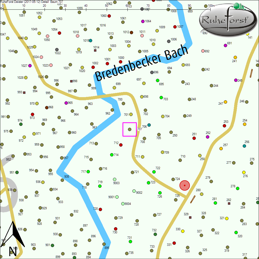 Detailkarte zu Baum 707