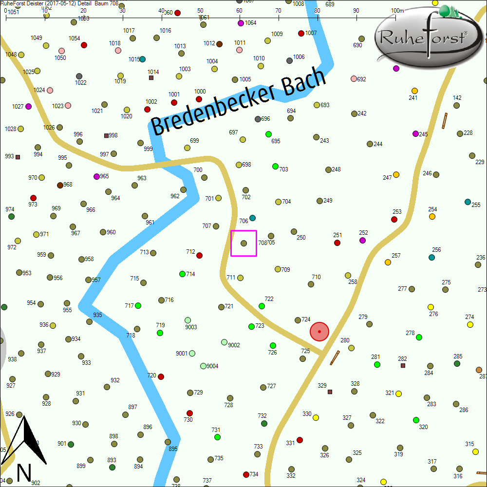 Detailkarte zu Baum 708