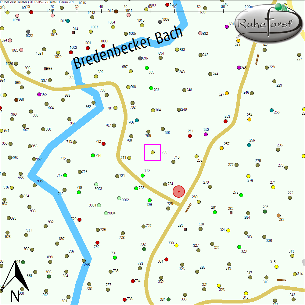 Detailkarte zu Baum 709