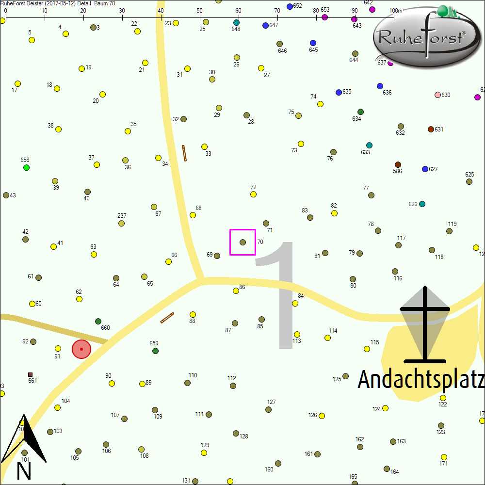 Detailkarte zu Baum 70