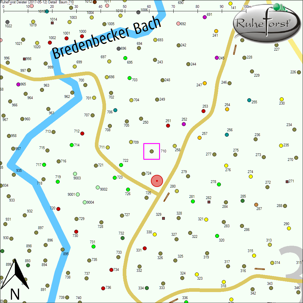 Detailkarte zu Baum 710