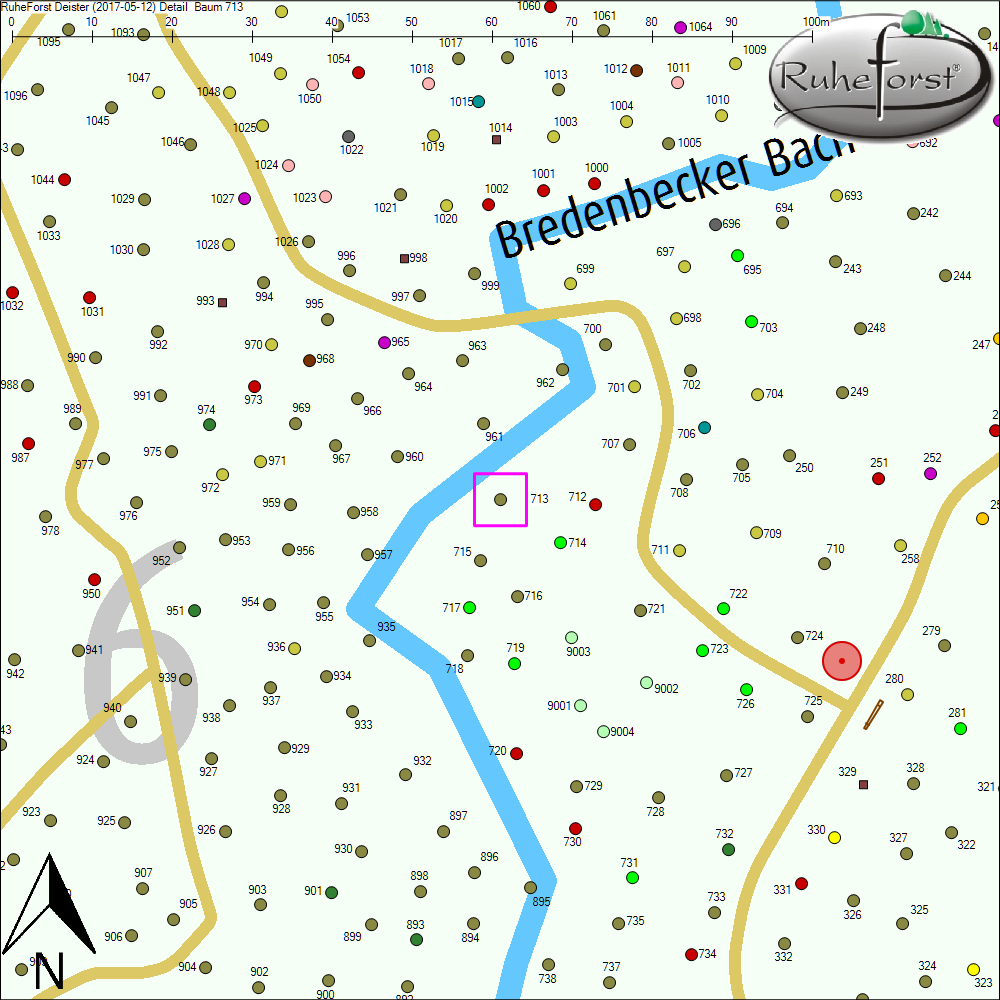 Detailkarte zu Baum 713