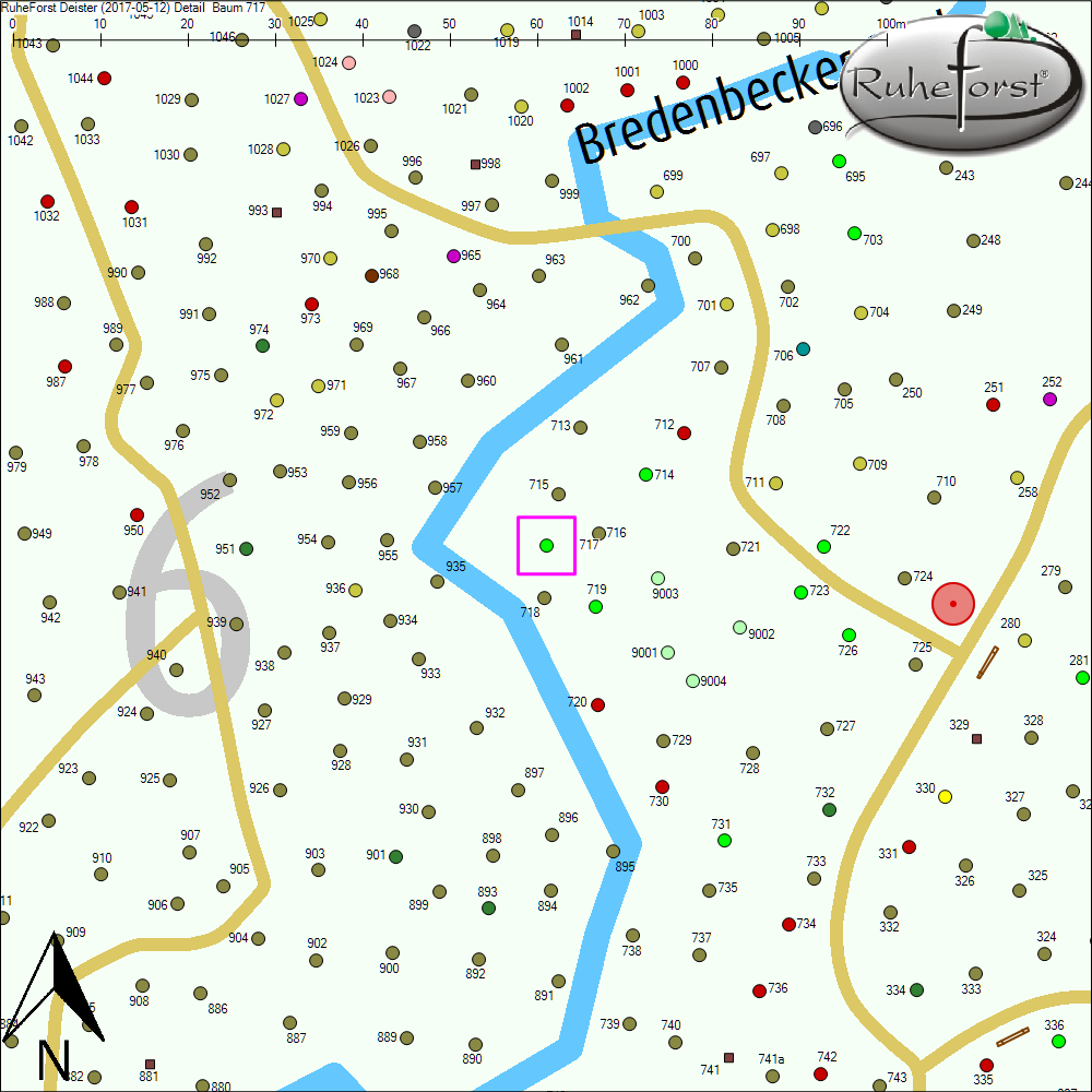 Detailkarte zu Baum 717