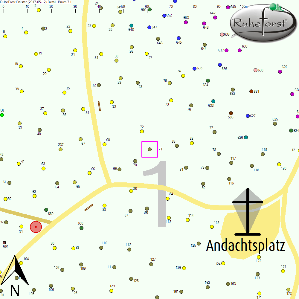 Detailkarte zu Baum 71