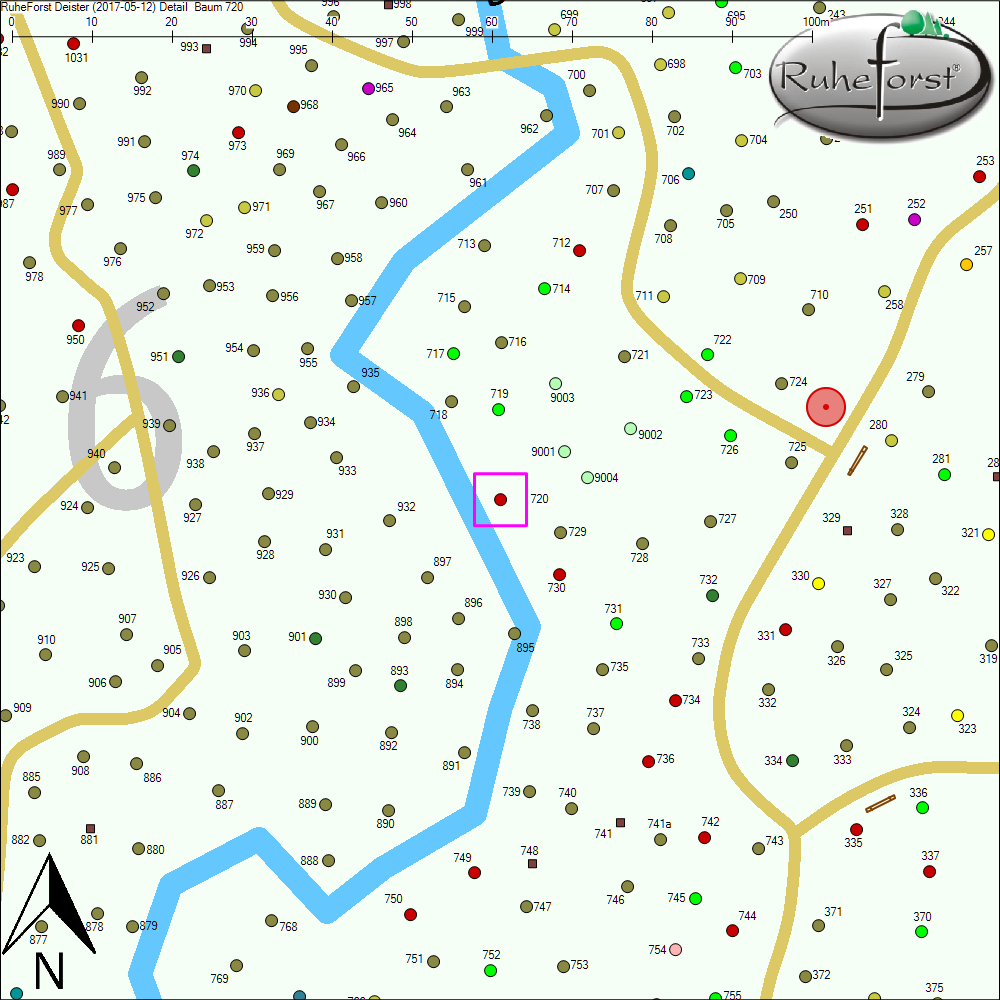 Detailkarte zu Baum 720