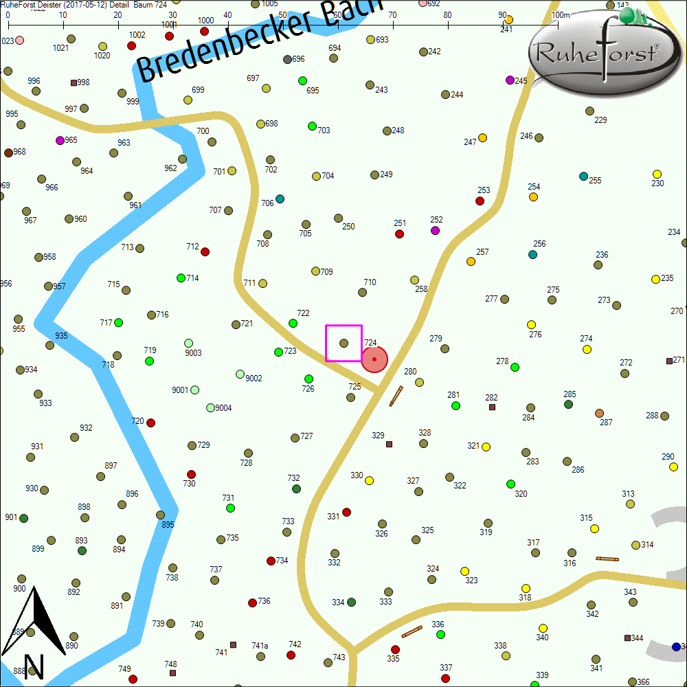 Detailkarte zu Baum 724