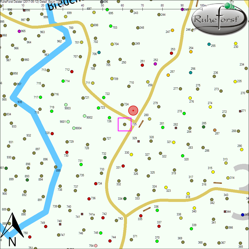 Detailkarte zu Baum 725