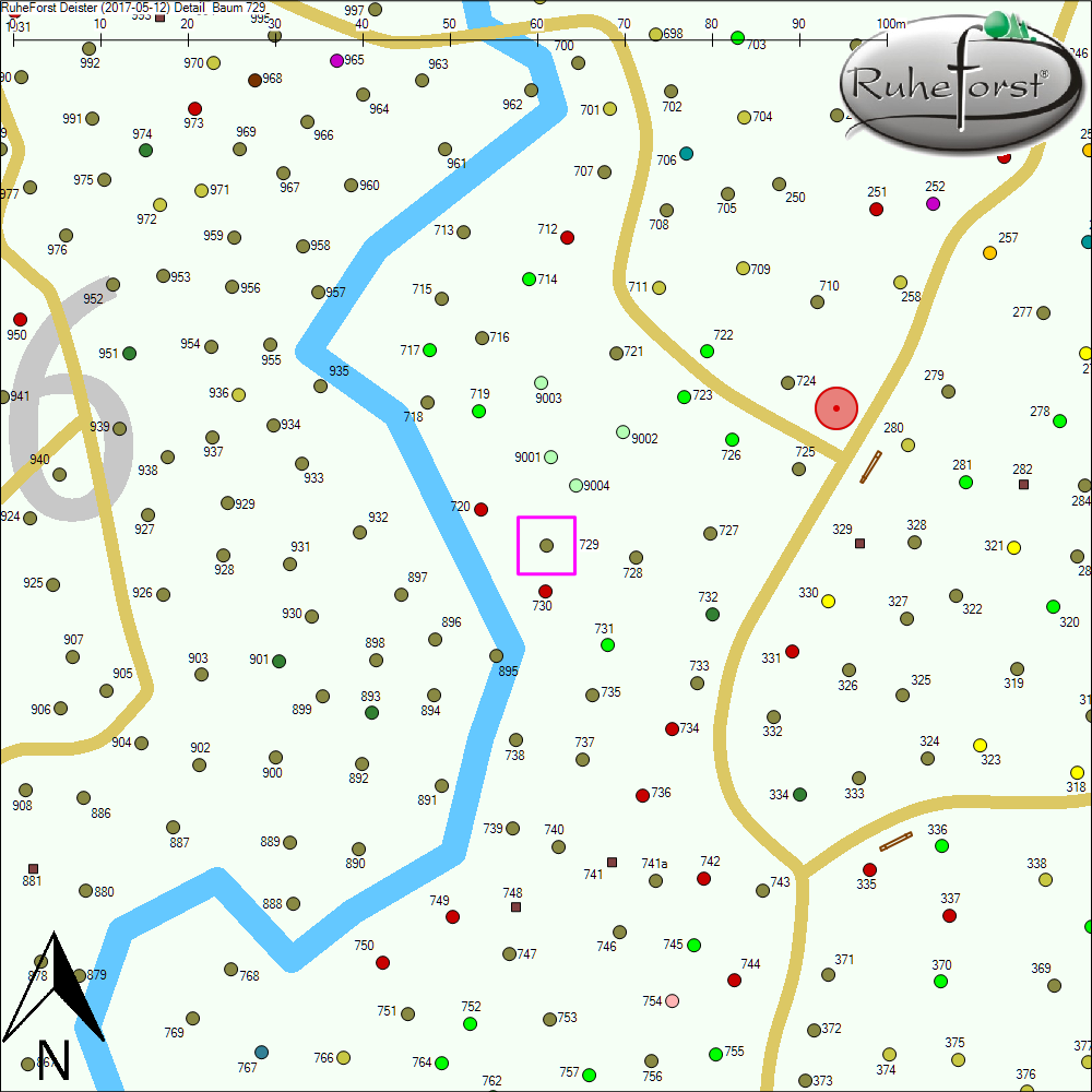 Detailkarte zu Baum 729