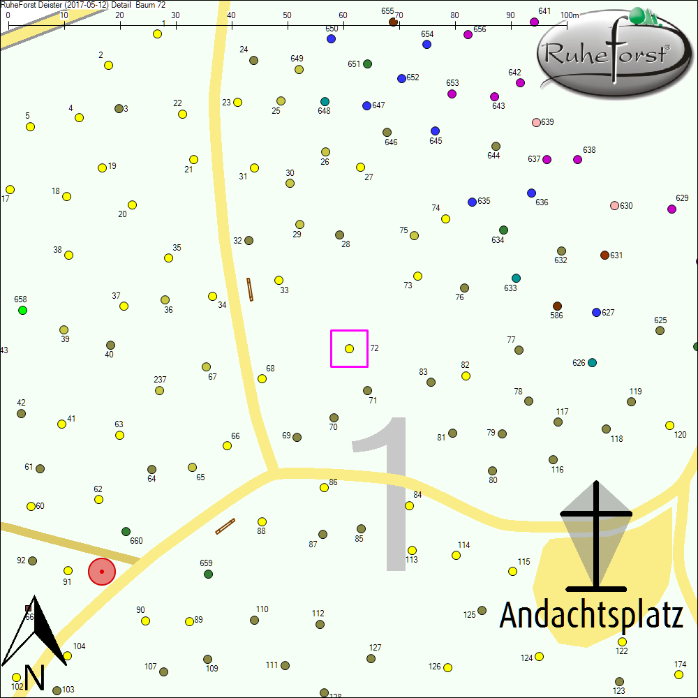 Detailkarte zu Baum 72