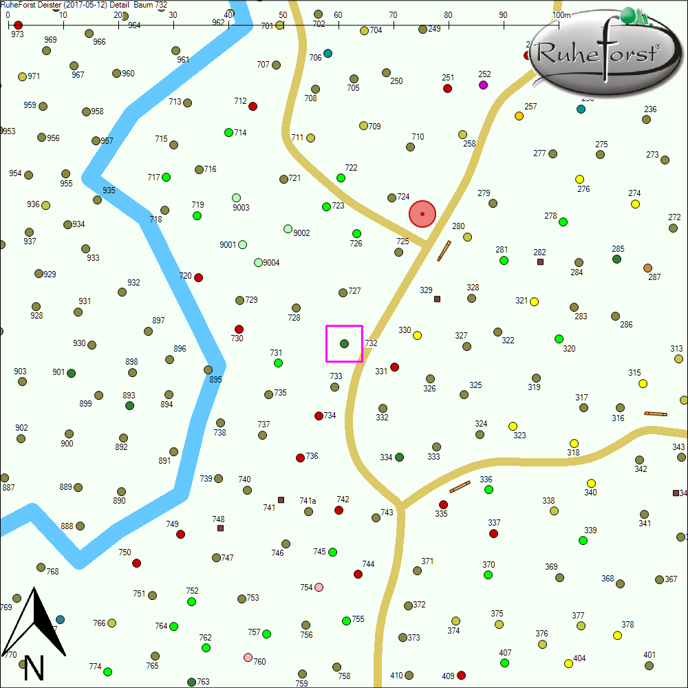 Detailkarte zu Baum 732