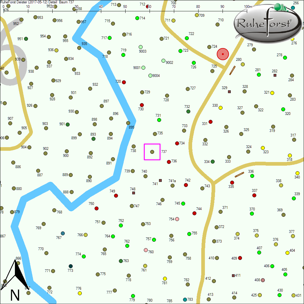 Detailkarte zu Baum 737