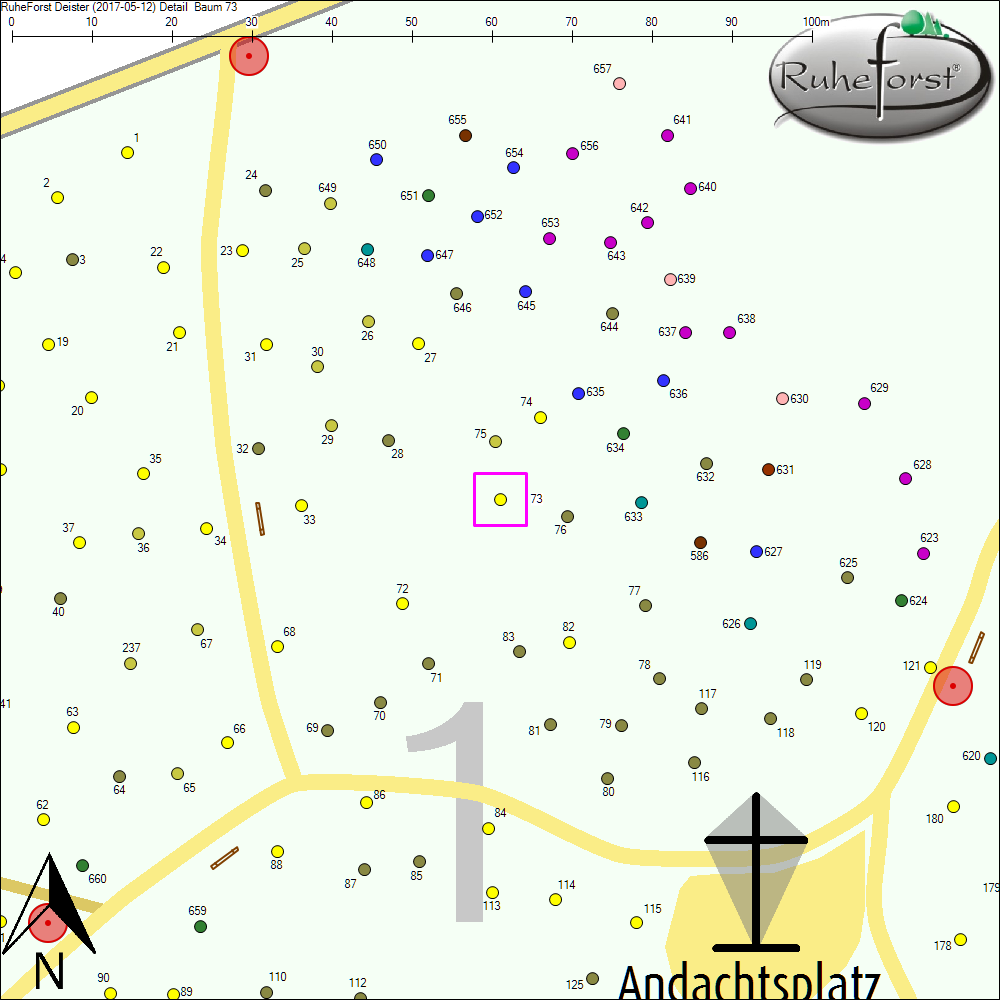 Detailkarte zu Baum 73