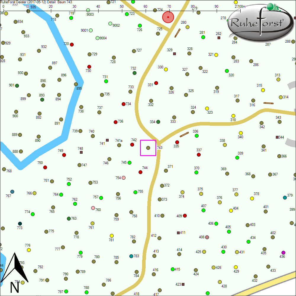 Detailkarte zu Baum 743