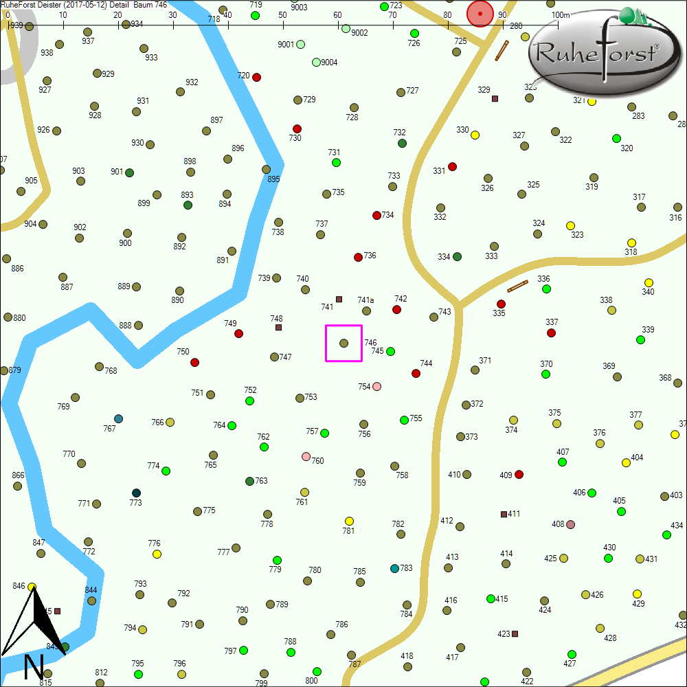 Detailkarte zu Baum 746