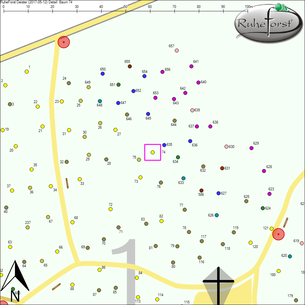 Detailkarte zu Baum 74