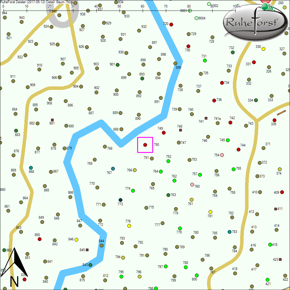 Detailkarte zu Baum 750