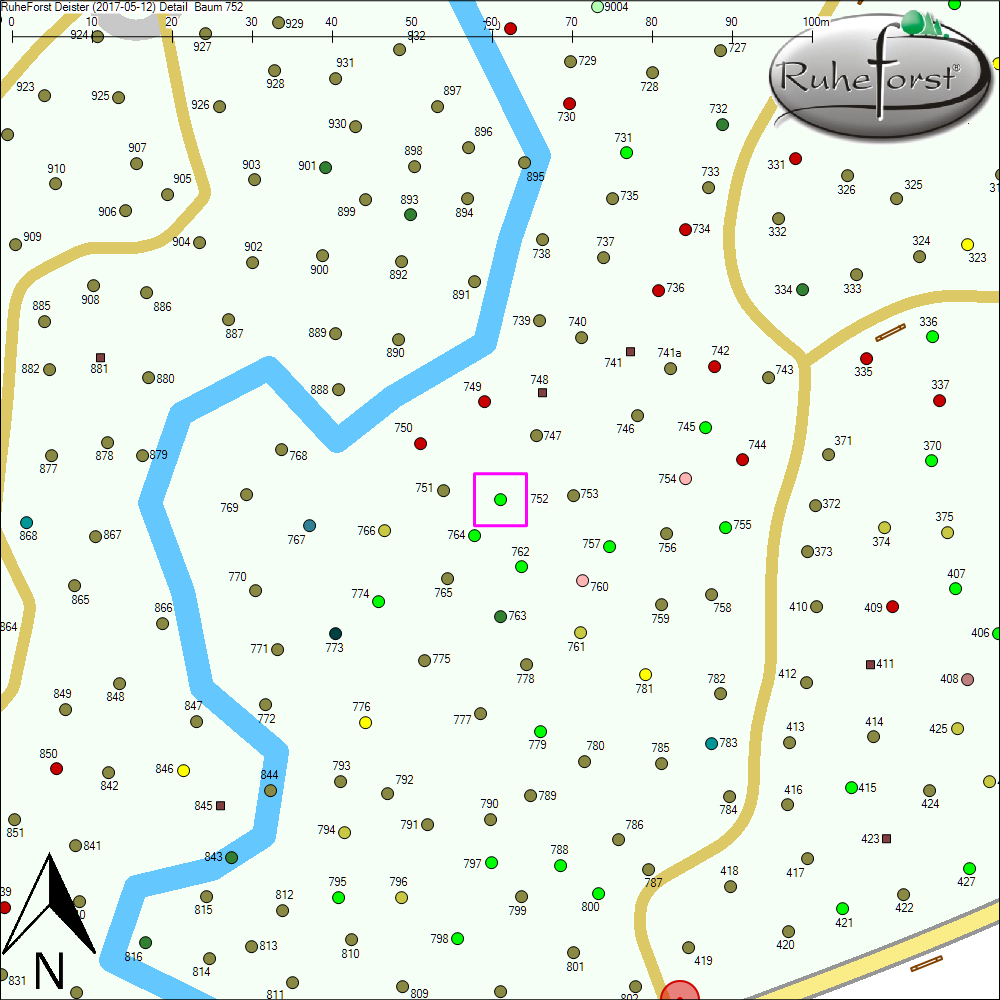 Detailkarte zu Baum 752