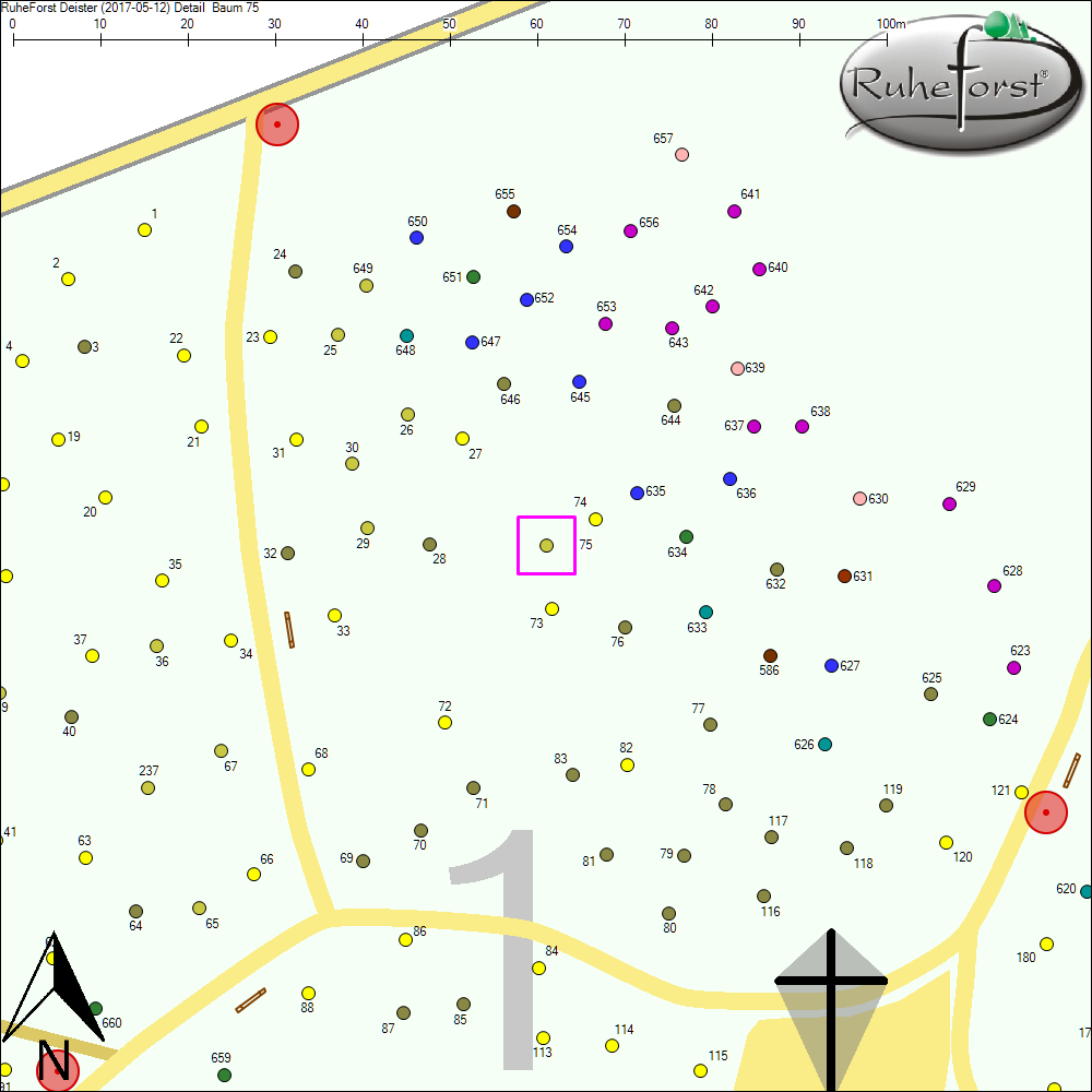 Detailkarte zu Baum 75
