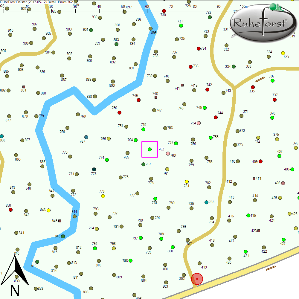 Detailkarte zu Baum 762