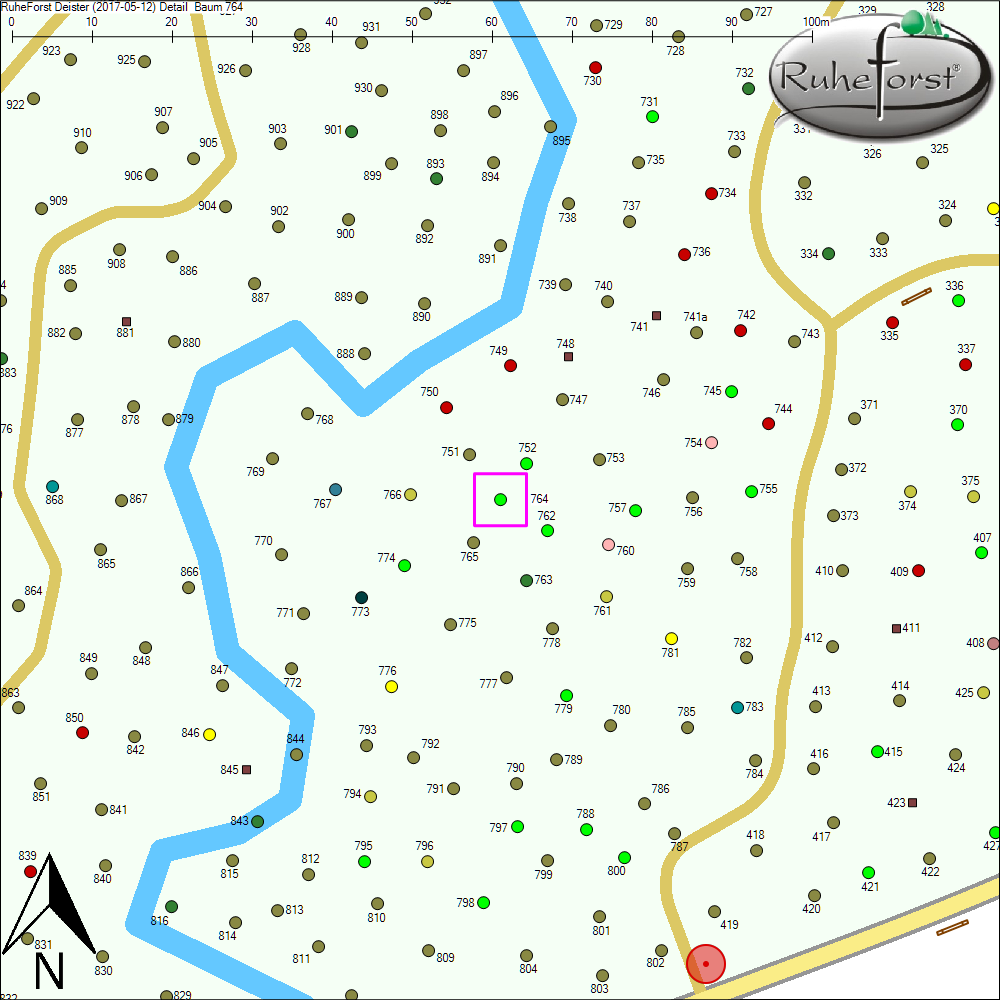 Detailkarte zu Baum 764