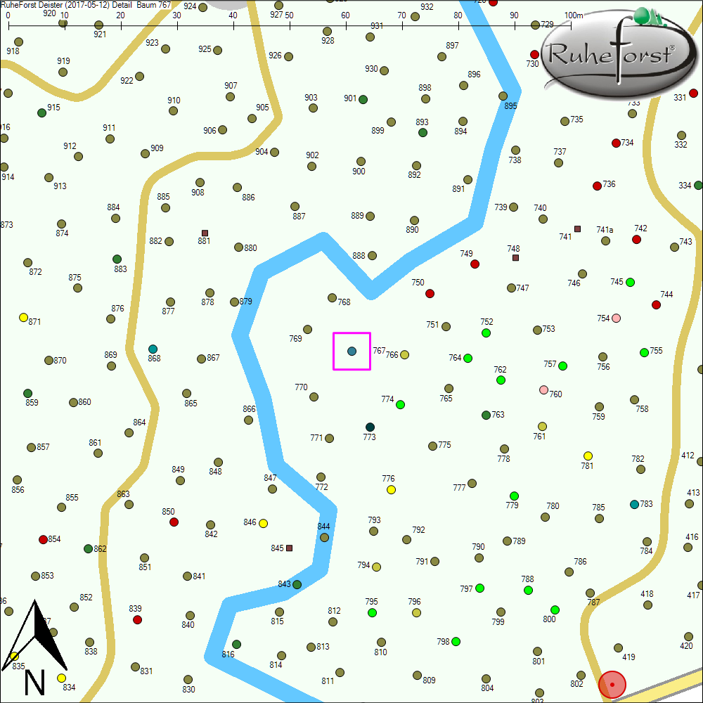 Detailkarte zu Baum 767