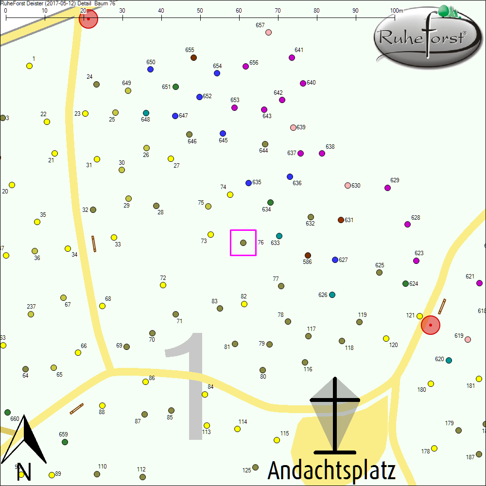 Detailkarte zu Baum 76