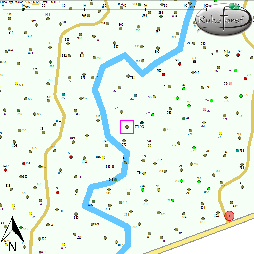 Detailkarte zu Baum 771