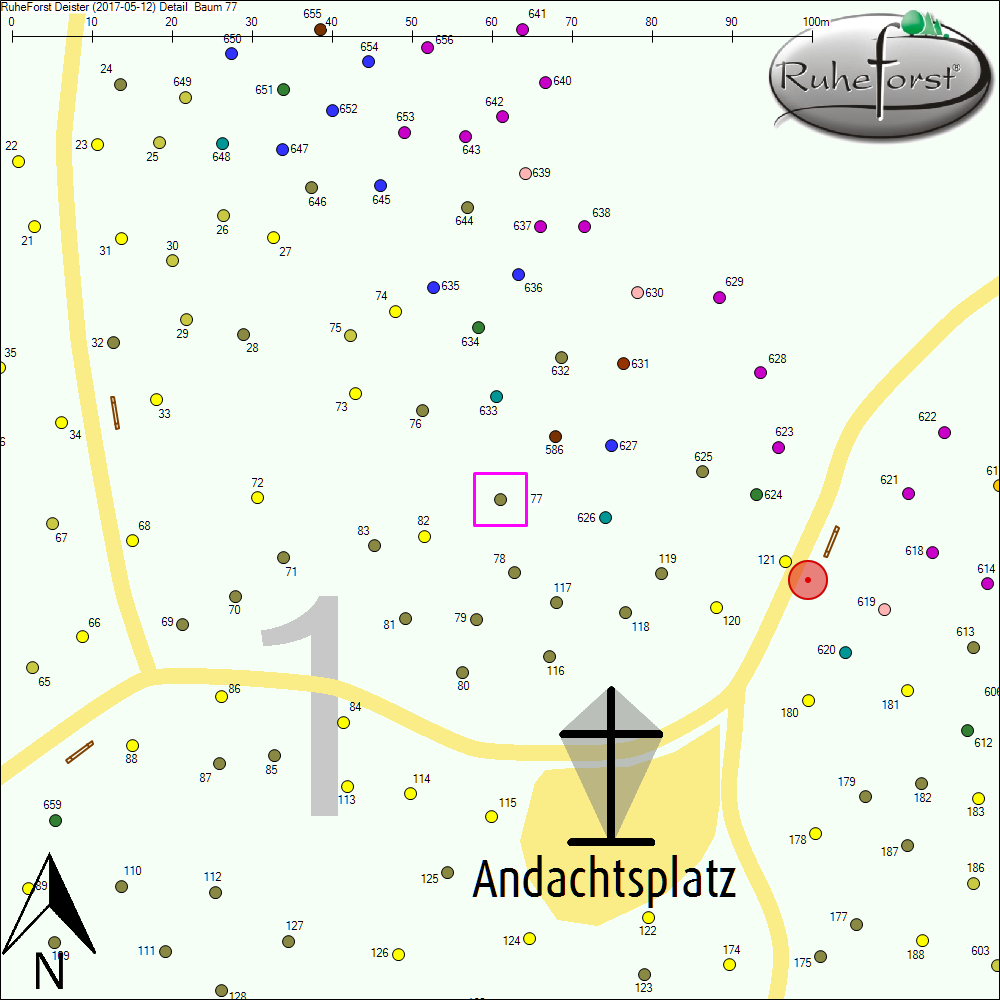 Detailkarte zu Baum 77