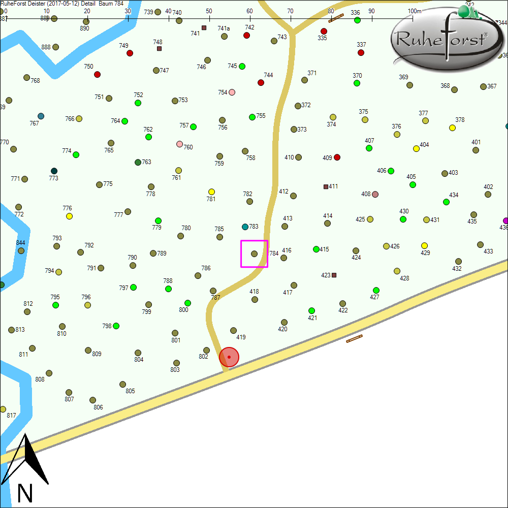 Detailkarte zu Baum 784