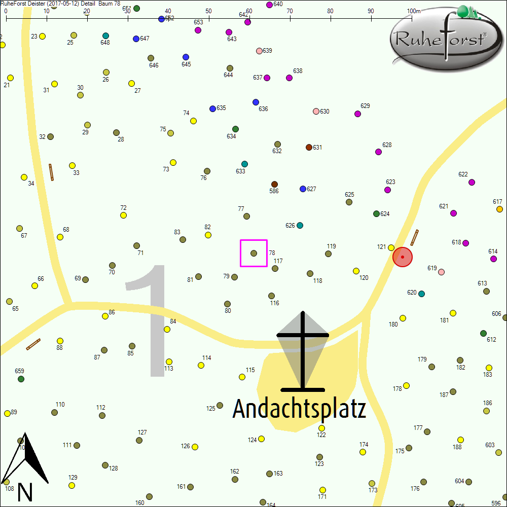 Detailkarte zu Baum 78