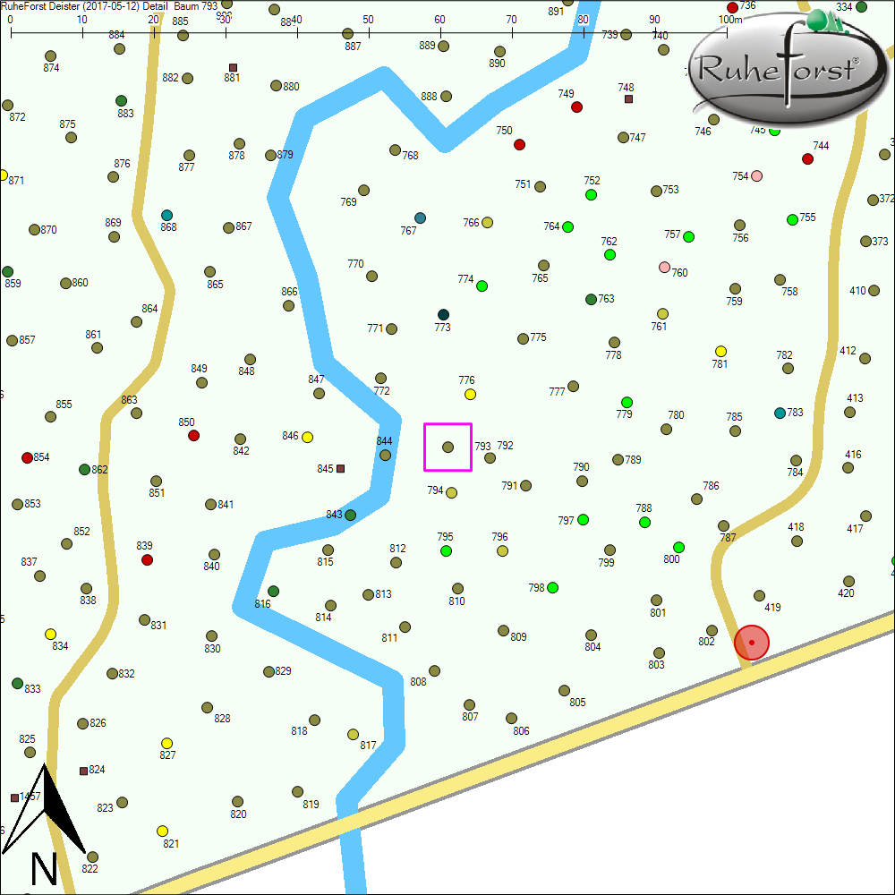 Detailkarte zu Baum 793